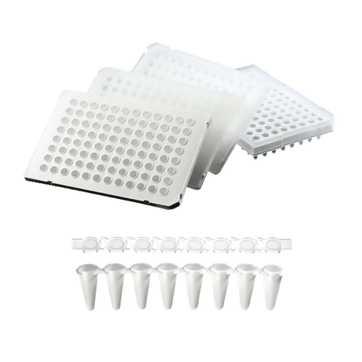 PCR Consumables